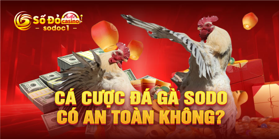 Cá cược đá gà SODO có an toàn không?