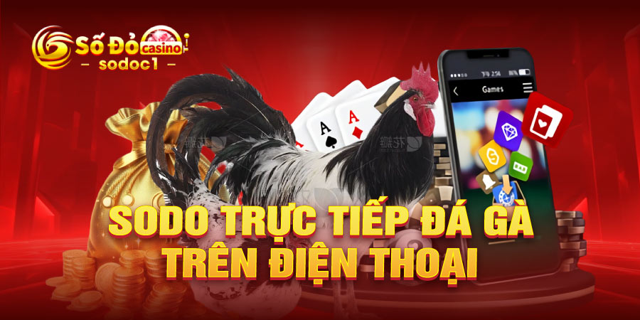 SODO trực tiếp đá gà trên điện thoại